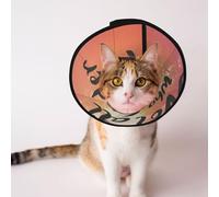 Mosytuky Pet Recovery Collars & Cones for Dogs and Cats After Surgery Adjustable Dog Neck Cone Surgical Elizabeth E-Collar Prevent Biting and Stop Licking Wound (Not All Who Wander are Lost,Medium)