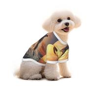 Mosytuky Sunset Dancing Dolphin Print Breathable Dog Shirts for Large Dogs-Stretchy T-Shirts,Soft Mesh Lightweight Quick Dry Sweatshirt-Medium