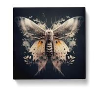 Moth Double Exposure Canvas Print | Gallery Wrapped 30mm Frame Wall Art | 20x20 inches | Ready to Hang | Modern Picture | Living Room Bedroom Lounge Office