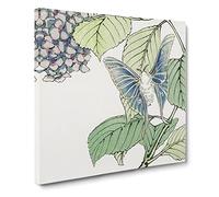 Moth & Hydrangea by Morimoto Toko Canvas Print | Gallery Wrapped 30mm Frame Wall Art | 14x14 inches | Ready to Hang | Modern Picture | Living Room Bedroom Lounge Office