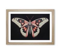 Moth Minimalism Framed Print | A2 Oak Framed Wall Art | Ready to Hang | Minimalist Nature Picture | Living Room Bedroom Lounge Office