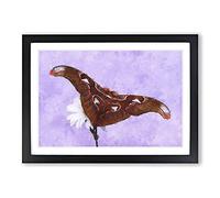 Moth On A White Flower Painting Framed Print | A2 Black Framed Wall Art | Ready to Hang | Modern Floral Picture | Living Room Bedroom Lounge Office