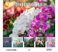 Moth Orchid Calendar 2026: Elegant and Exotic Orchids to Grace Your Year