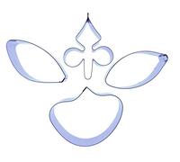 Moth Orchid - Stainless Steel Sugarcraft Cutters - Set - Valley Cutter Company