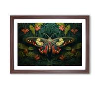 Moth Photograph 8K Framed Print | A2 Walnut Framed Wall Art | Ready to Hang | Modern Nature Picture | Living Room Bedroom Lounge Office