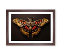 Moth Photograph 8K No.2 Framed Print | A2 Walnut Framed Wall Art | Ready to Hang | Modern Nature Picture | Living Room Bedroom Lounge Office