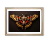 Moth Photograph 8K No.2 Framed Wall Art Print, Ready to Hang Picture for Living Room Bedroom Home Office, Oak A2 (66 x 48 cm)