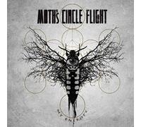 Moth's Circle Flight - My Entropy