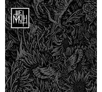 Moth, The - And Then Rise