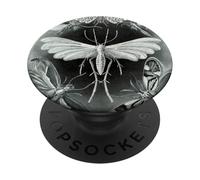 Moth Vintage Mystical Goth Insect Aesthetic Illustration PopSockets Adhesive PopGrip