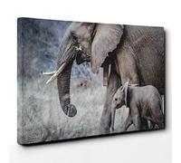 Mother and Baby Elephant Canvas Print | Gallery Wrapped 30mm Frame Wall Art | 30x20 inches | Ready to Hang | Modern Animals Picture | Living Room Bedroom Lounge Office