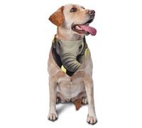 Mother and Baby Elephant Sunflowers Dog Bandana Pet Scarf Accessories for Small Medium Dogs Cats Photo Prop, Triangle Pet Bandanas Adjustable Puppy Bib Washable Dog Kerchief Puppy Neckerchief