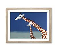 Mother And Baby Giraffe Framed Wall Art Print A2 Oak