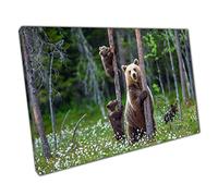 Mother Bear And Bear Cubs Play Among The Branches And Flowers In Woodland Habitat Wall Art Print On Canvas Picture For Home Office Decor 76x51cm (30x20In)