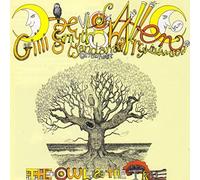 Mother Gong - The Owl And The Tree