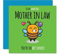 Mother in Law Birthday Card, Youre The Bees Knees