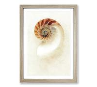 Mother of Pearl Shell Painting Framed Print | A2 Oak Framed Wall Art | Ready to Hang | Modern Historical Picture | Living Room Bedroom Lounge Office