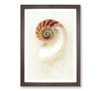 Mother of Pearl Shell Painting Framed Print | A2 Walnut Framed Wall Art | Ready to Hang | Modern Historical Picture | Living Room Bedroom Lounge Office
