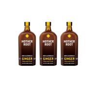 Mother Root Ginger (500ml x 3) | Award-Winning Fiery + Fresh Alcohol-Free Aperitif | As Seen on Dragons’ Den | Benefit Rich Ginger & ACV | Bold, Complex & Delicious | Mix With Soda | Up To 60 Drinks