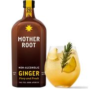Mother Root Ginger Switchel Fiery & Fresh Alcohol-Free Drink 500ml