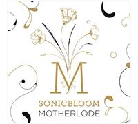 Motherlode