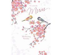 Mother's Day Card - Birds & Blossom
