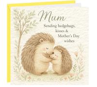 Mothers Day Card For Mum Beautiful Hedgehog Design On Thick Textured Hammered Card Cute Thoughtful Animal Happy Mother's Day Cards