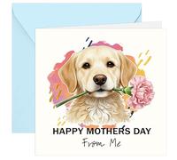Mother's Day Card from the Dog, Cute Golden Retriever & Carnation Design, Includes Card and Envelope, Gift for Mum, Funny and Warm Heartfelt Message for Mother's Day