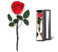 Mothers Day Rose Flower Gifts for Mom from Daughter and Son, Mom Gifts for Grandma, Unique Birthday Gifts for Women, Preserved Rose, Preserved Flowers for Delivery Prime, Single Rose Real Rose - Red