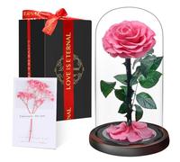 Mother's Day Rose Set Gift for Women | Eternal Forever Rose in Glass Dome | Flower Preserved for 5 Years | Handcrafted | Beauty and the Beast Gift for Her Wife Girlfriend | Anniversary, Mother's Day