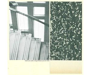 Mothers - When You Walk A Long Distance You Are Tired [VINYL]