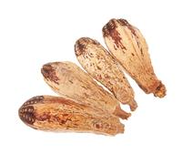 MOTHNUR 4pcs Natural Fruit Parrot Chew for Cage Birds Small Biting for Parakeet Cockatiel Healthy Bird Accessories to Prevent Furniture Damage and Boredom