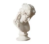MOTHNUR Ancient Greek Resin Figurine Sculpture for Art Sketching Practice White Classic Bust Model Teaching Aid European Style Desktop Ornament for Home and Office Decoration