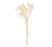 MOTHNUR Dried Rabbit Tail Grass Decor 50pcs Natural White Bunny Tails Pampas Grass for DIY Flower Arrangement Wedding Home Vase Decoration