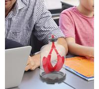 MOTHNUR Educational Lung Breathing Model with Atmospheric Pressure Simulation and Diaphragm Movement for Student Hands-On Biology Lessons