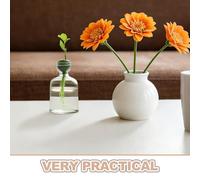 MOTHNUR Glass Hydroponic Avocado Planter Vase - Small Desktop Decor Container for Seed Sprouting and Water Plant Culture