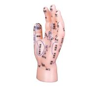 MOTHNUR Hand Zone Simulation Model for Acupuncture Training with Accurate Labeled Acupoints Realistic Detailing Reflexology Hand Model for Tcm Education Medical Institutions and Massage