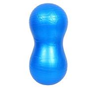 MOTHNUR Kids Balance Exercise Ball Stability Yoga Ball with Pump Blue Sensory Training for Children Early Education Rehabilitation Body Balance Exercise