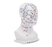 MOTHNUR Medical Head Acupoint Model with Precise Acupuncture Points for Teaching and Massage Demonstration Human Head Anatomy Model for School Laboratory Hospital Use