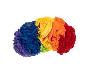 MOTHNUR Third Generation Upgraded Rainbow Pet Sniffing Pad for Puppies Slow Feeding Foraging Stress Relief Snuffle Mat Easy-clean Non-toxic Material Indoor Outdoor Enrichment Game