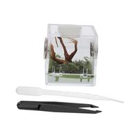 MOTHNUR Transparent Acrylic Reptile Breeding Box Ventilated Small Pet Enclosure for Jumping Spiders and Insects Compact Feeding Habitat for Crawling Pets