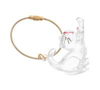 MOTHNUR Transparent Cat Hair Keepsake Keychain Compact Pet Fur Memorial Capsule Bag Pendant for Collecting and Storing Cat Hair Efficient Organizer for Animal Lovers