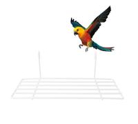 MOTHNUR White Metal Bird Cage Shelf Rack for Small Parrots, Grid Wall-mounted Perch Stand with Hanging Iron Frame, Bird Accessories for Cage Play and Resting