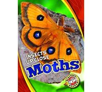 Moths