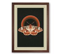 Moths Beneath the Arc Botanical Framed Wall Art Print A3 (42×29.7cm) Walnut, Wall Decor for Living Room, Bedroom, Office & Home, Ready to Hang, Art Gift