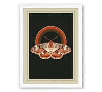 Moths Beneath the Arc Botanical Framed Wall Art Print A3 (42×29.7cm) White, Wall Decor for Living Room, Bedroom, Office & Home, Ready to Hang, Art Gift