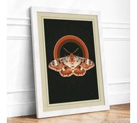 Moths Beneath the Arc Botanical Framed Wall Art Print A3 White