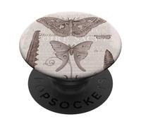 Moths from Diderot Encyclopedia Vintage Natural History PopSockets Adhesive PopGrip