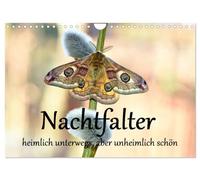 Moths - secretly on the move, but eerily beautiful UK-Version (Wall Calendar 2026 DIN A4 Landscape), CALVENDO 12 Month Wall Calendar