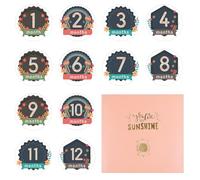MOTIBACK 12 Pcs Baby Milestone Stickers, 10cm Round Monthly Baby Cards with Floral Pattern, Double Sided Photo Props for Newborn Infants 0-12 Months Growth Recording Gift Set (Flowers)